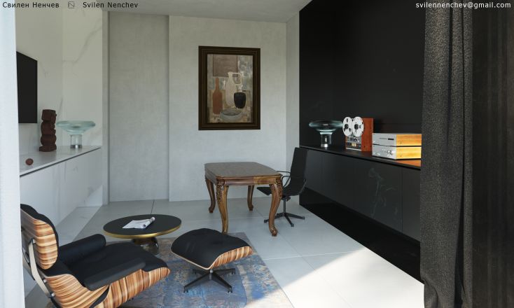 boyana house image 10.jpg