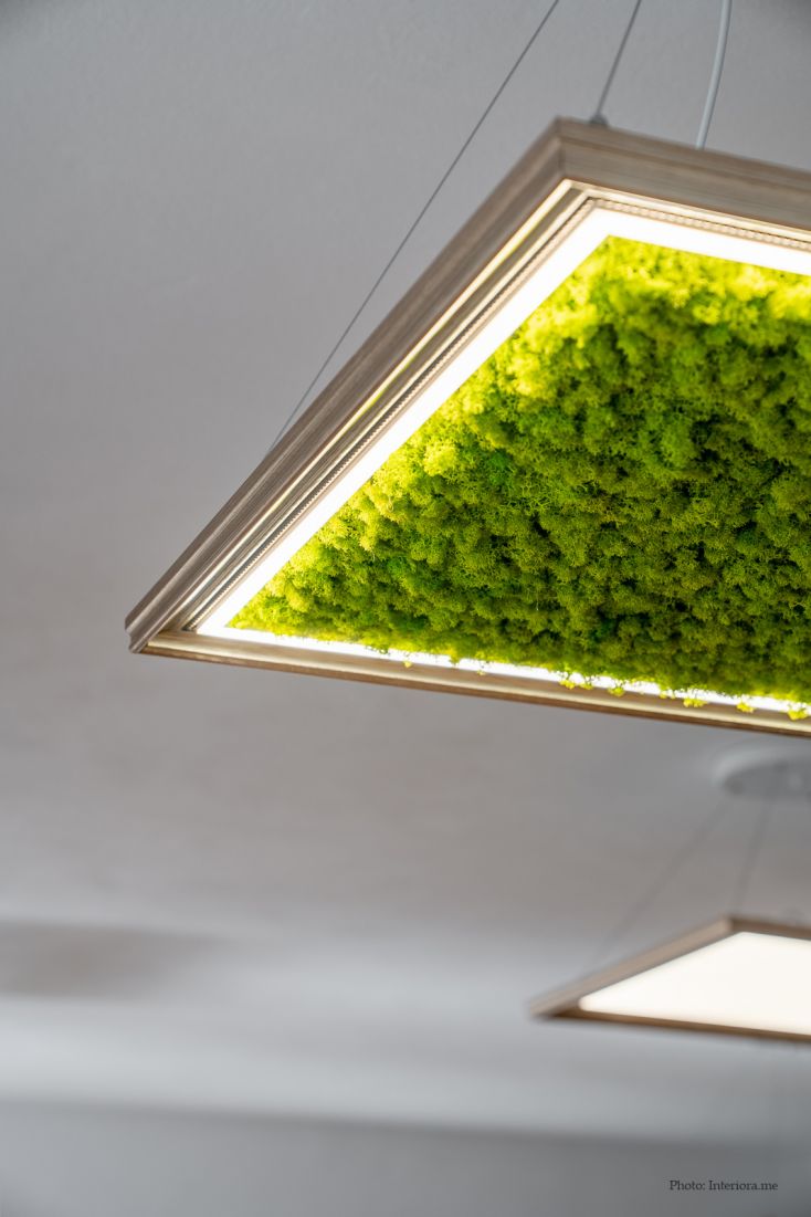 lamp with Scandinavian moss-7-design-Zgurevi copy.jpg