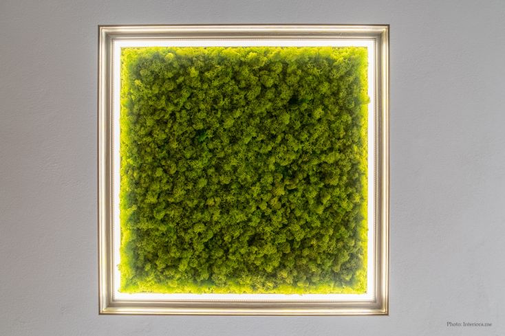 lamp with Scandinavian moss-design-Zgurevi copy.jpg