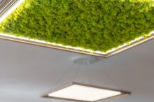 lamp with Scandinavian moss-6_design-Zgurevi copy.jpg