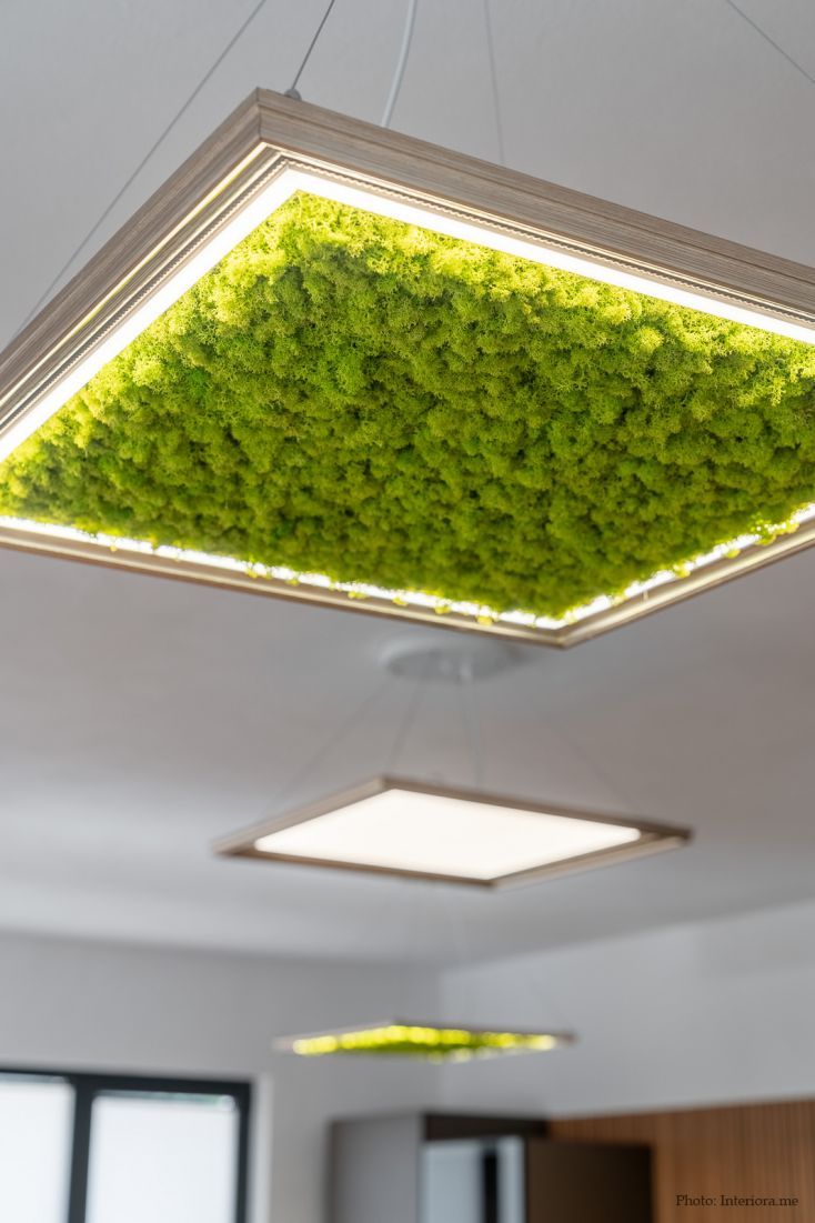 lamp with Scandinavian moss-6_design-Zgurevi copy.jpg