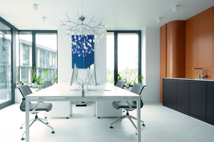 DIBLA ALGO_Artboard 1.jpg