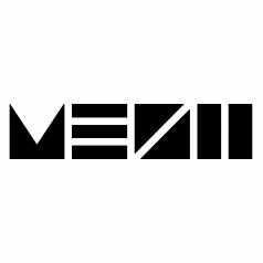 LOGO_MESH_.png